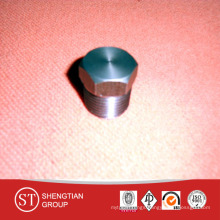 Forged 3000# Hex/Round/Square Head Plug